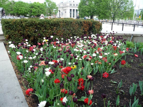 01 Ottawa 22 mai 2018